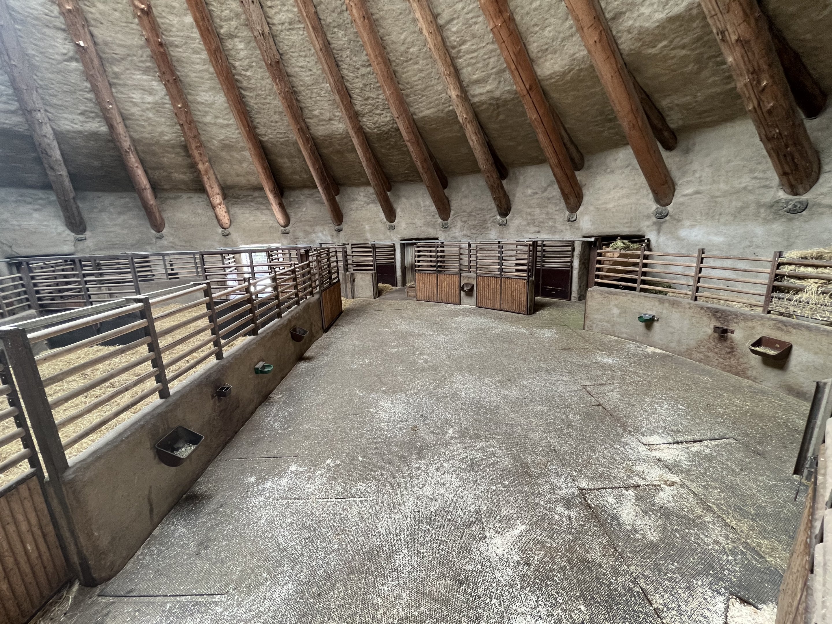 African Antelope House