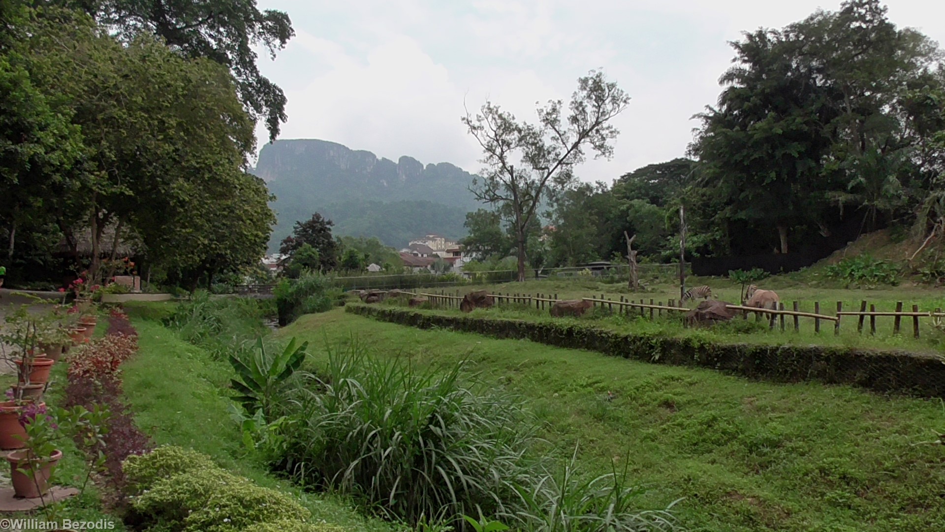 African Area and View
