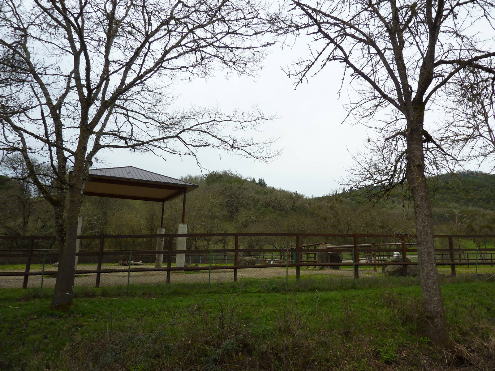 African Area - Elephant Enclosure