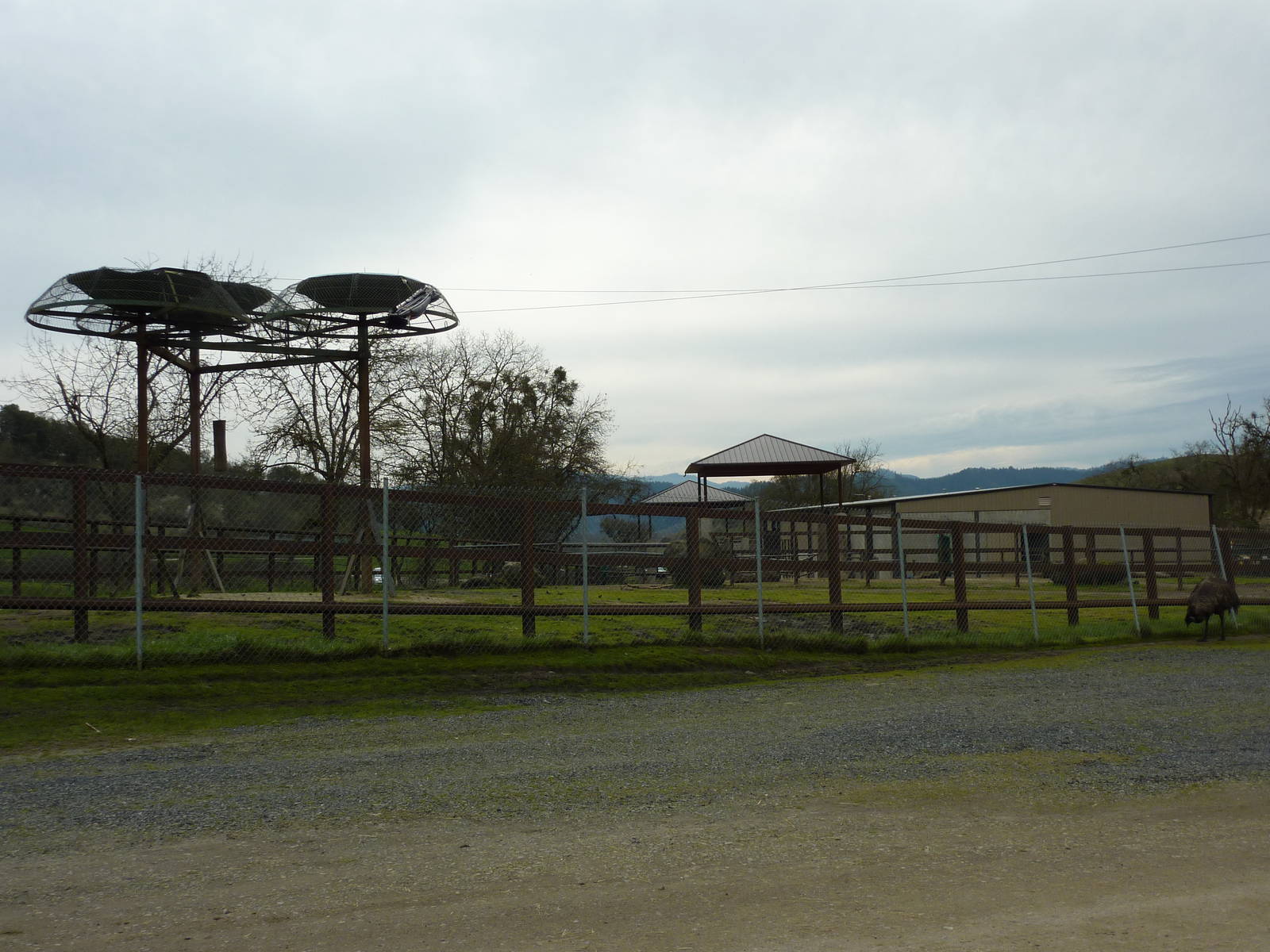 African Area - Elephant Enclosure