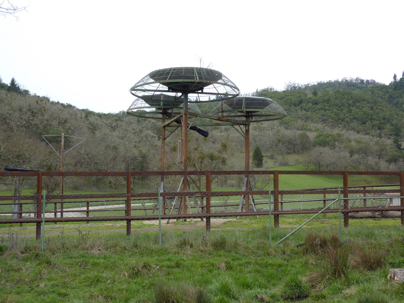 African Area - Elephant Utilitrees