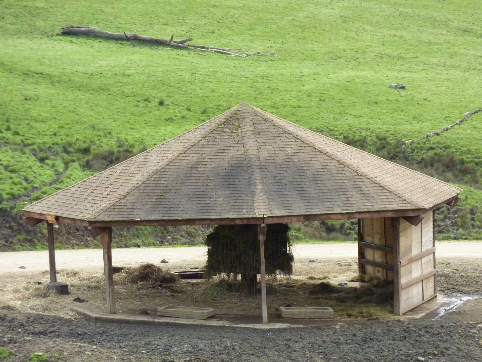 African Area - Feeding Shelter