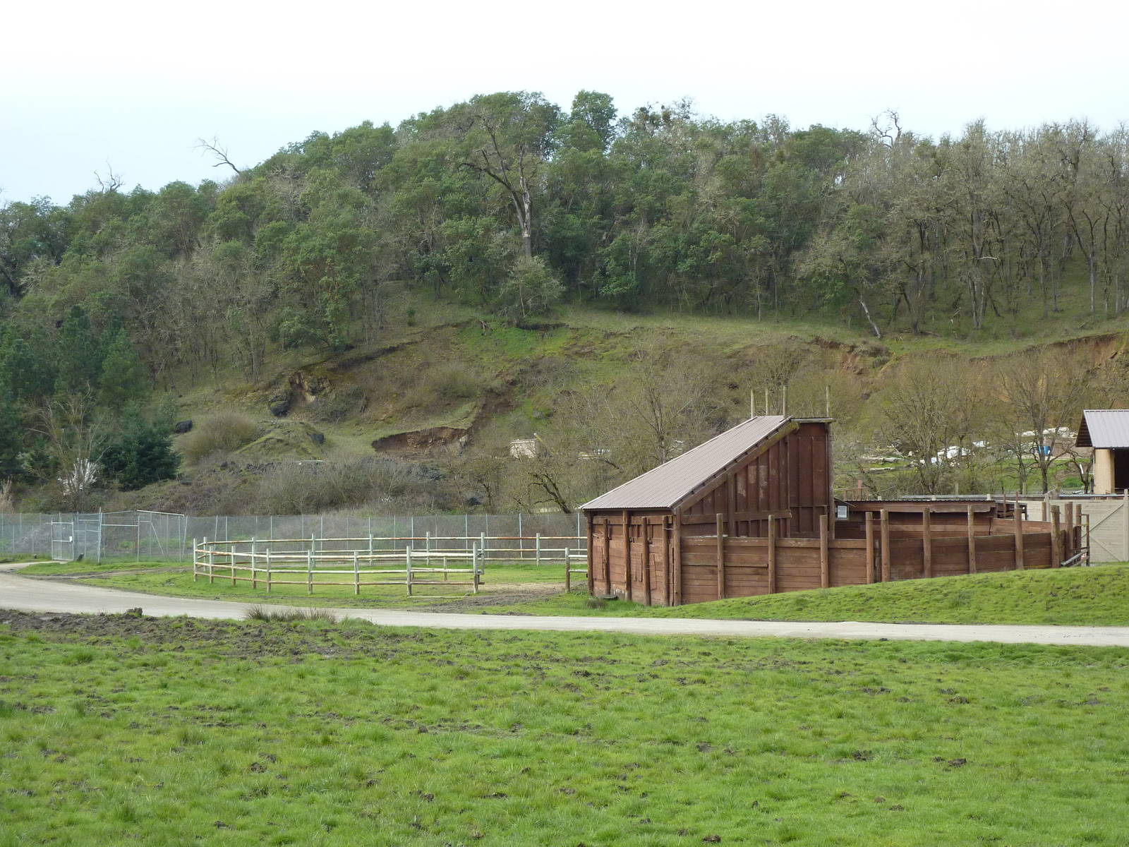 African Area -Giraffe Barn