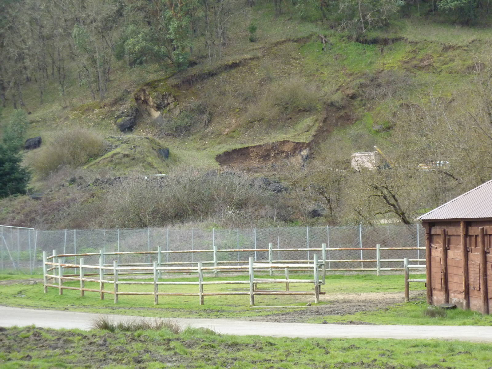 African Area - Separate Giraffe Enclosure