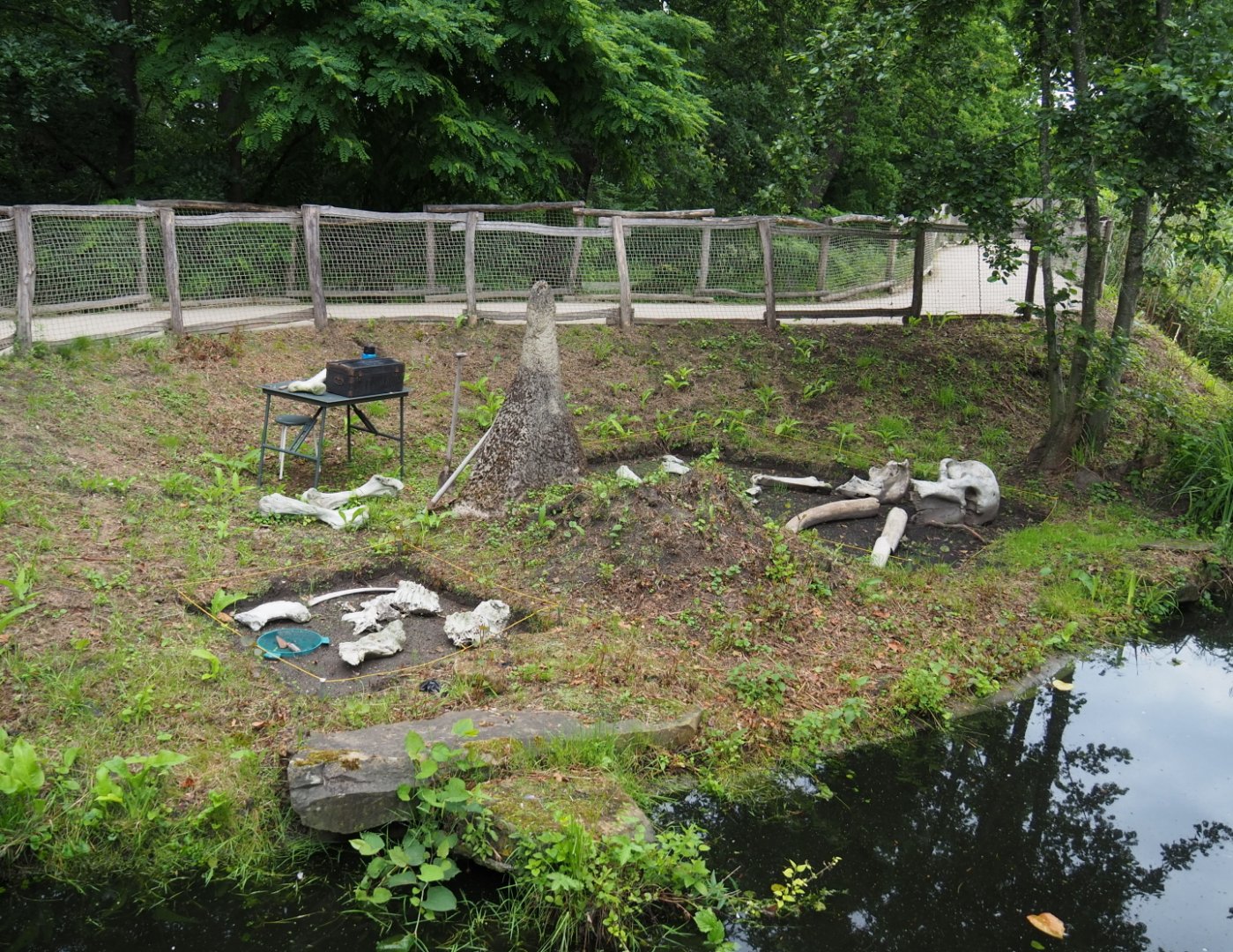 African area theming - Elephant skeleton dig site, 2021-07-03
