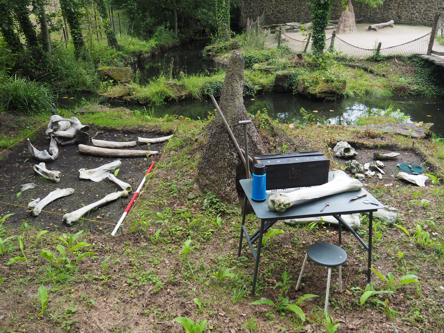 African area theming - Elephant skeleton dig site, 2021-07-03