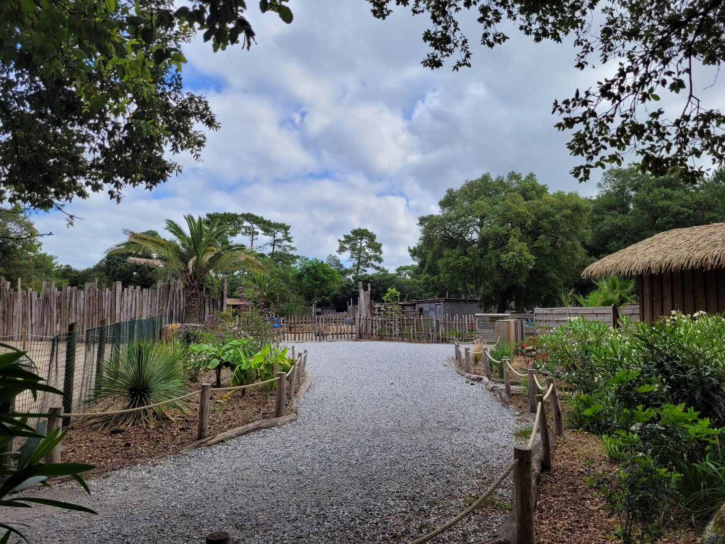 African area view -Zoo de Labenne (2024)