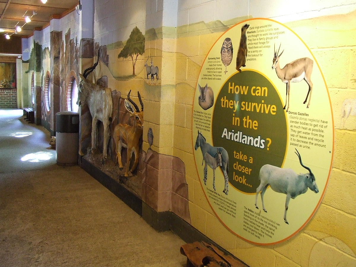 African Aridlands House, interior