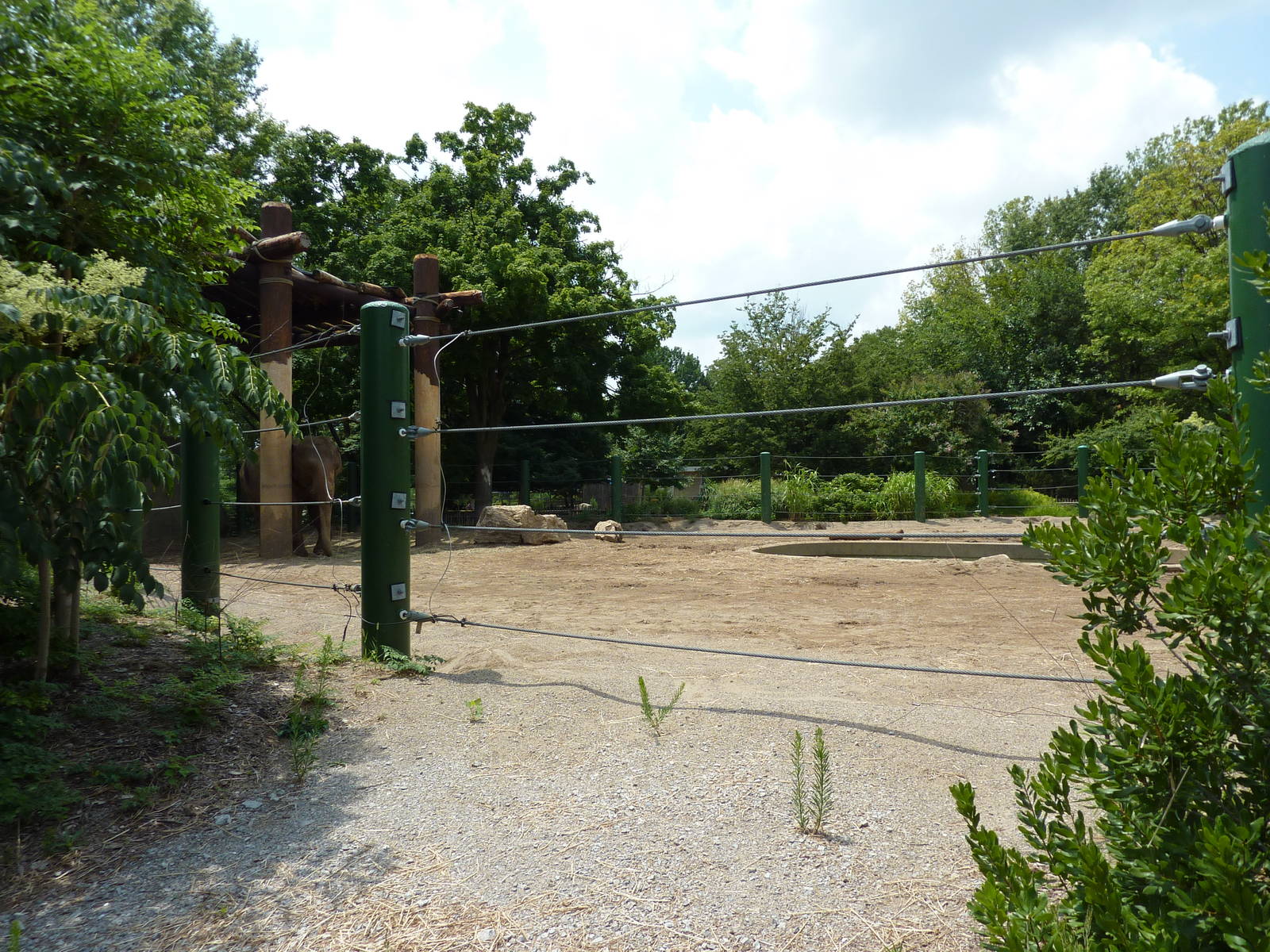 African/Asian Elephant Exhibit