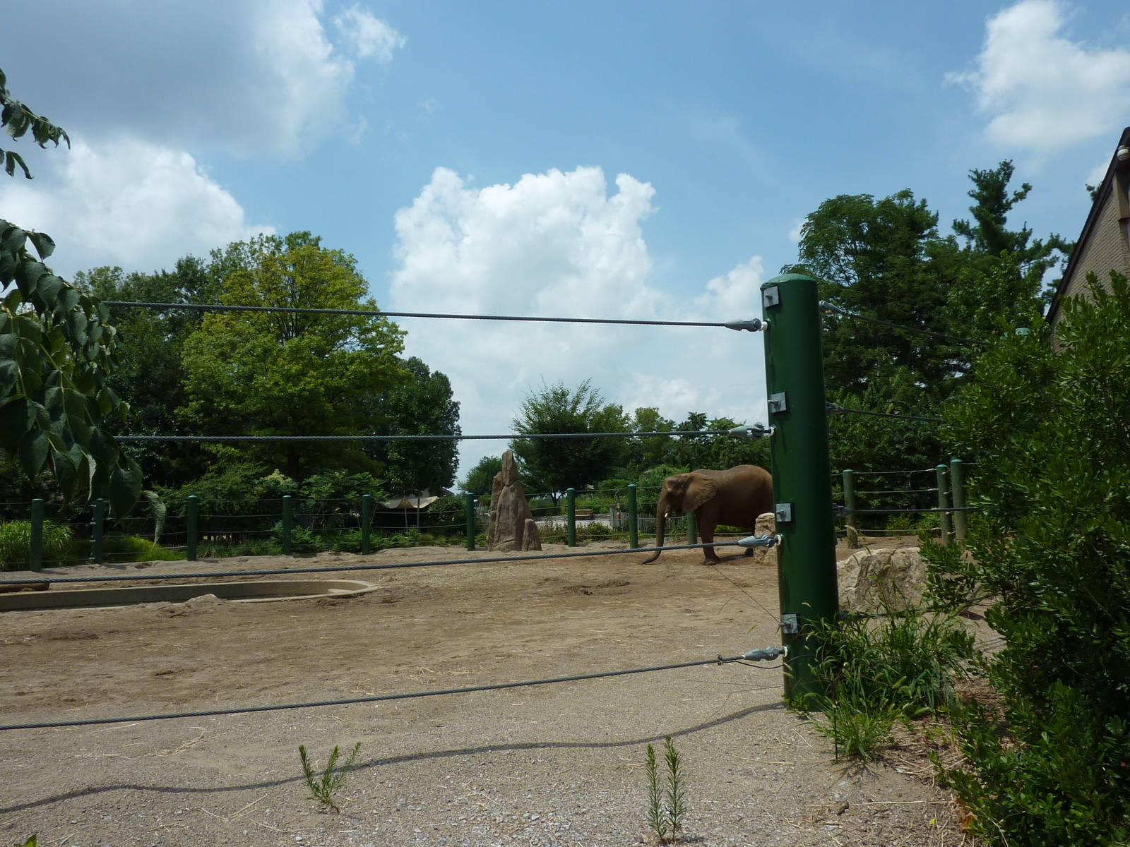African/Asian Elephant Exhibit