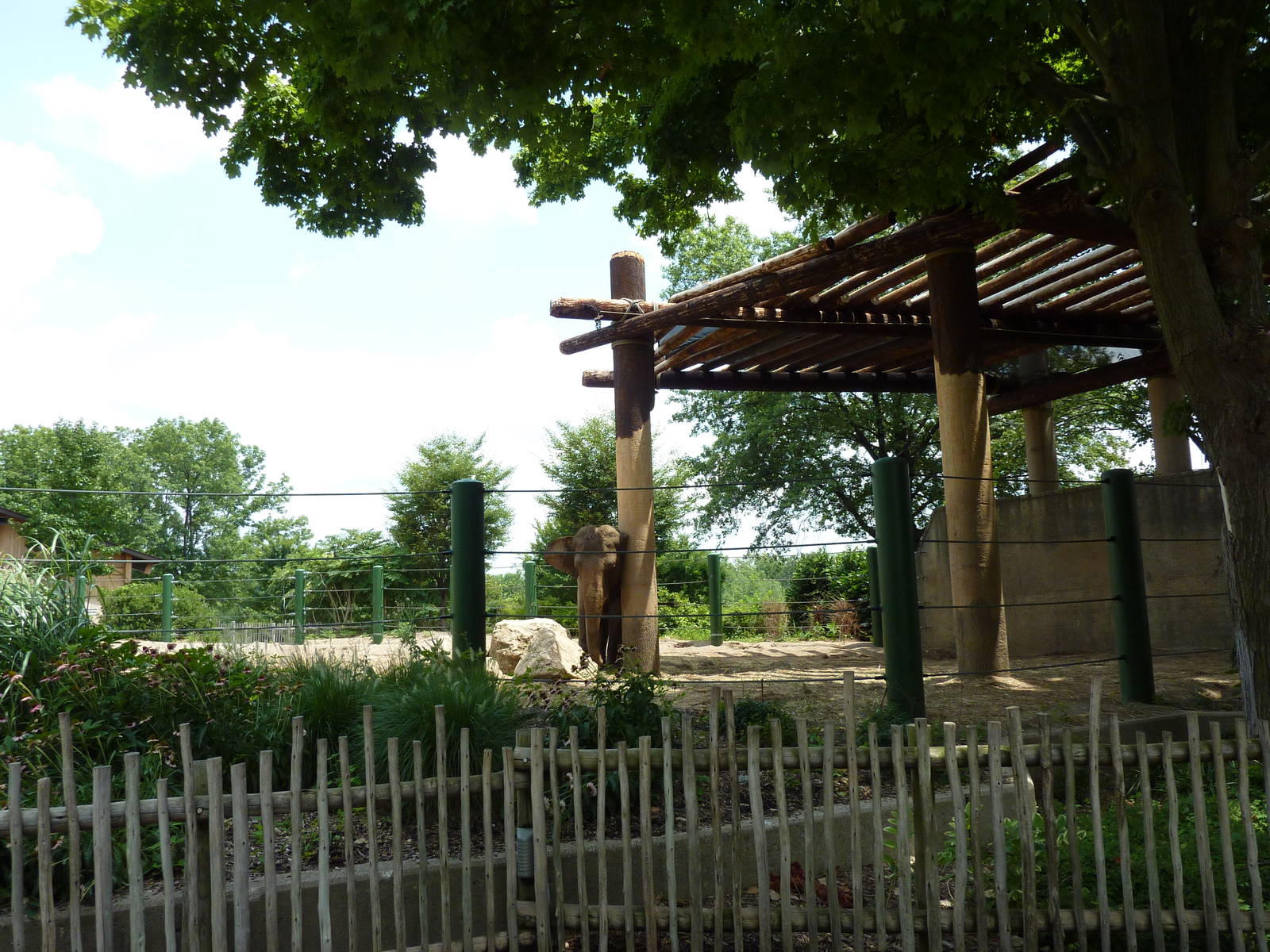 African/Asian Elephant Exhibit