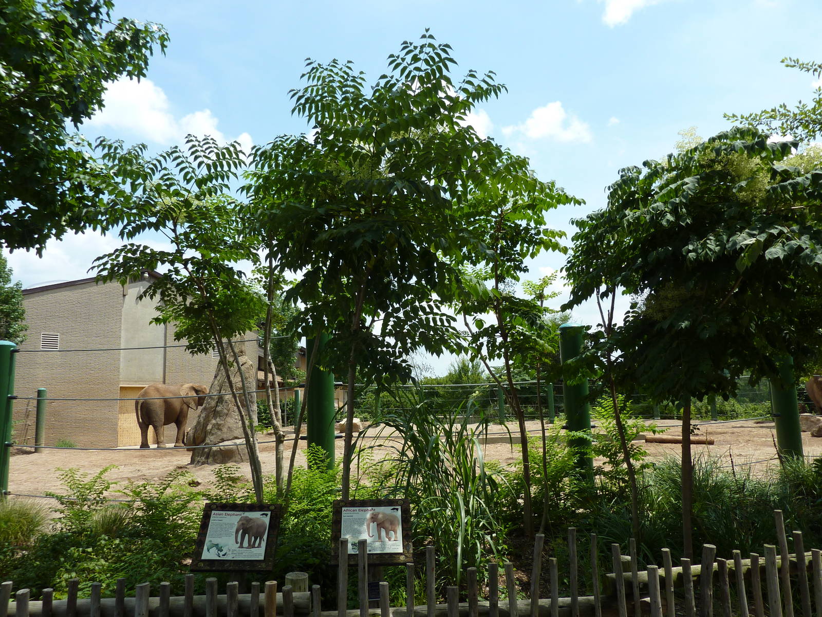African/Asian Elephant Exhibit