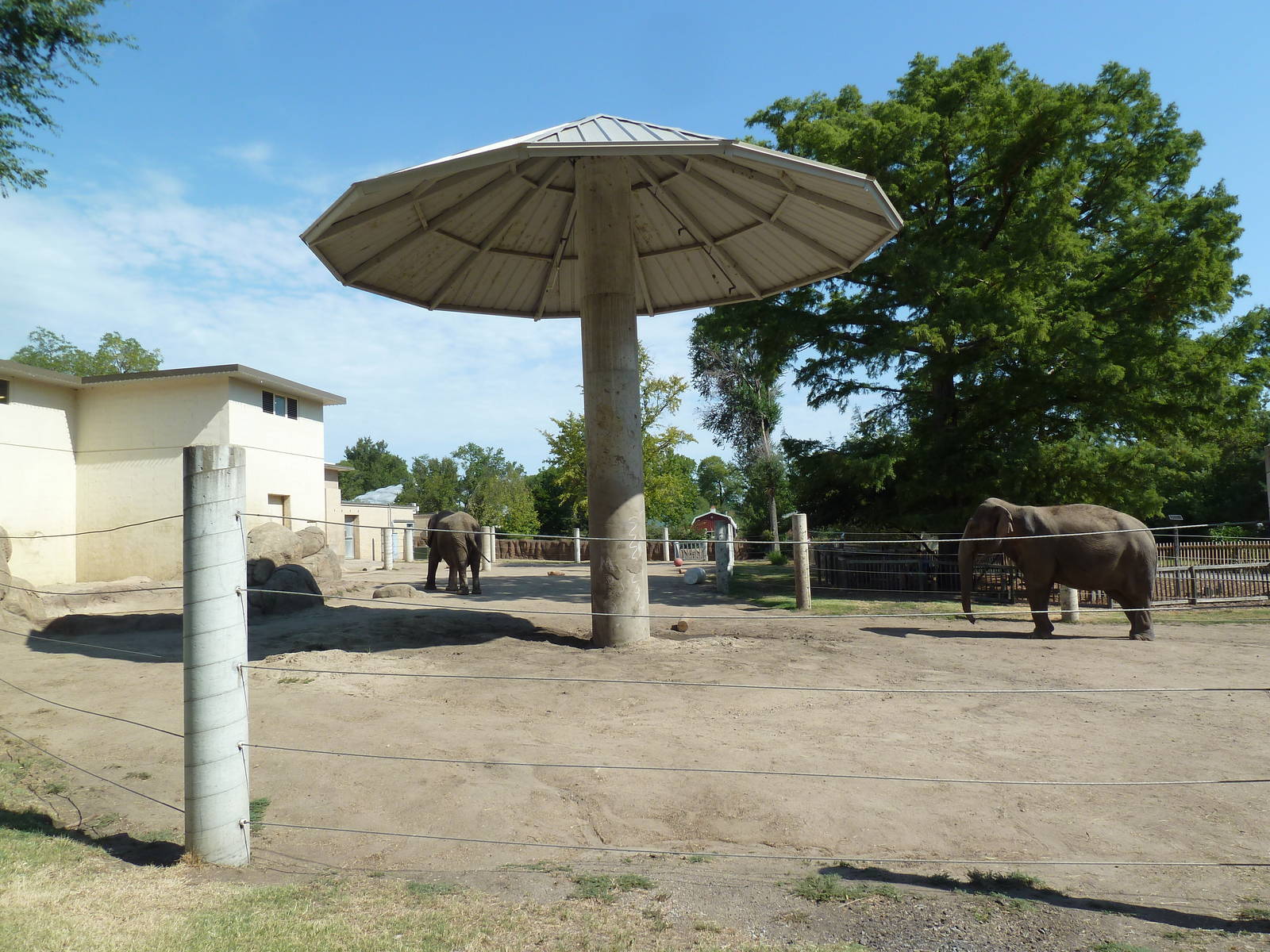 African + Asian Elephant Exhibit