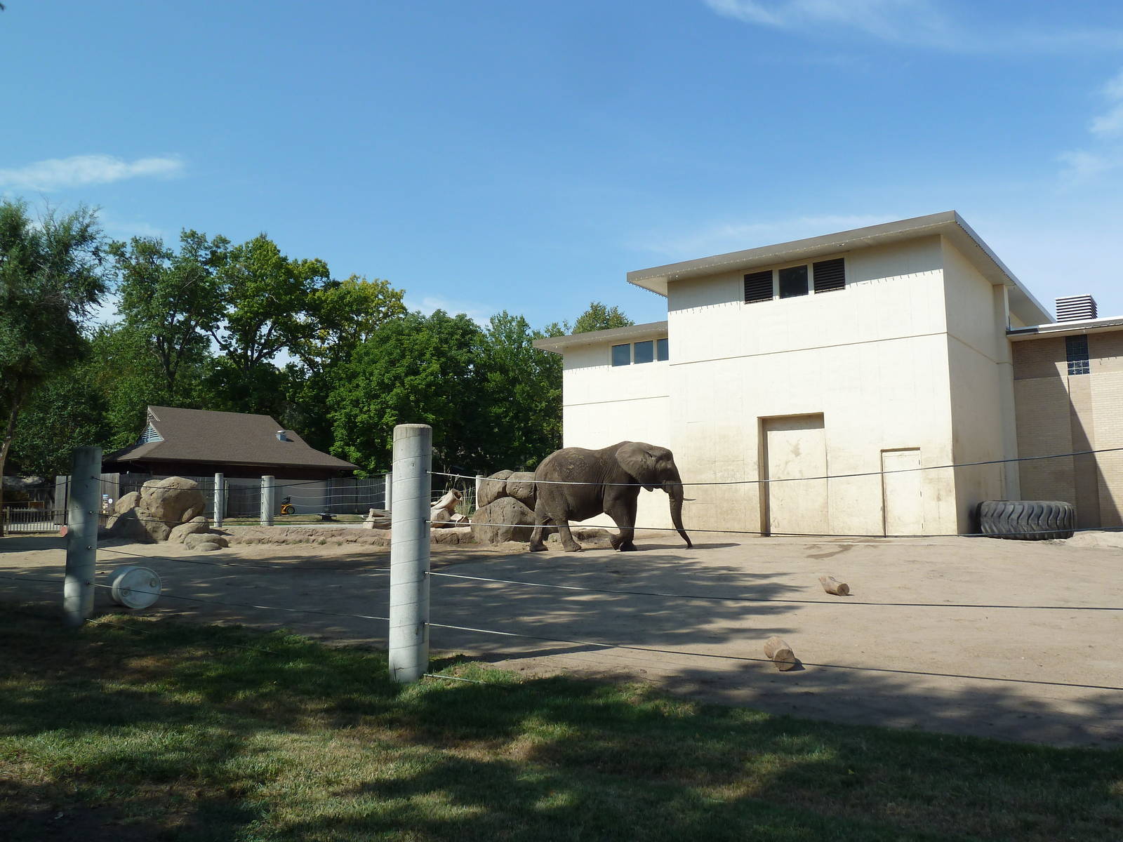 African + Asian Elephant Exhibit