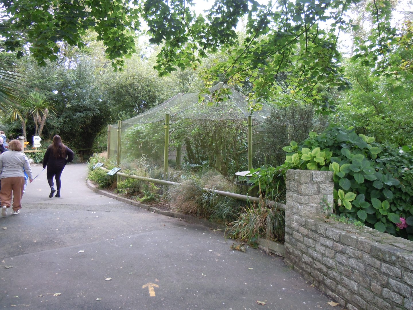 African aviary 070920