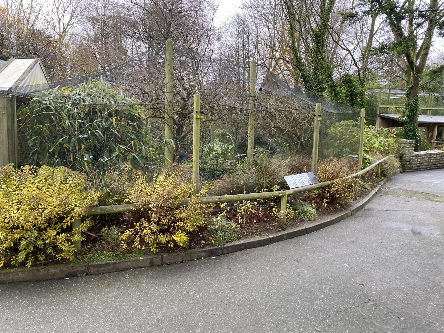 African aviary 111221