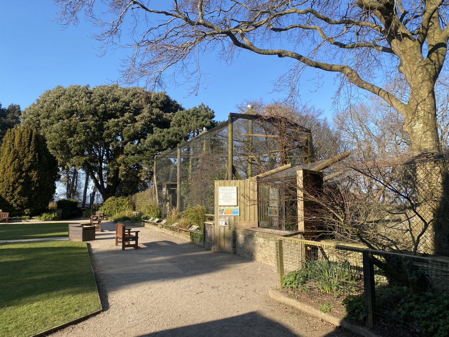 African Aviary 190325