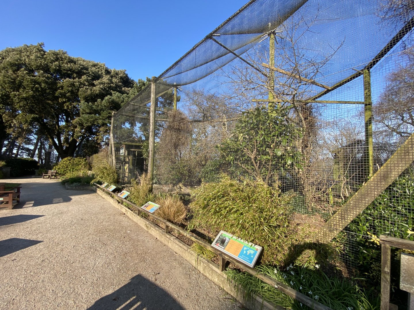 African Aviary 190325