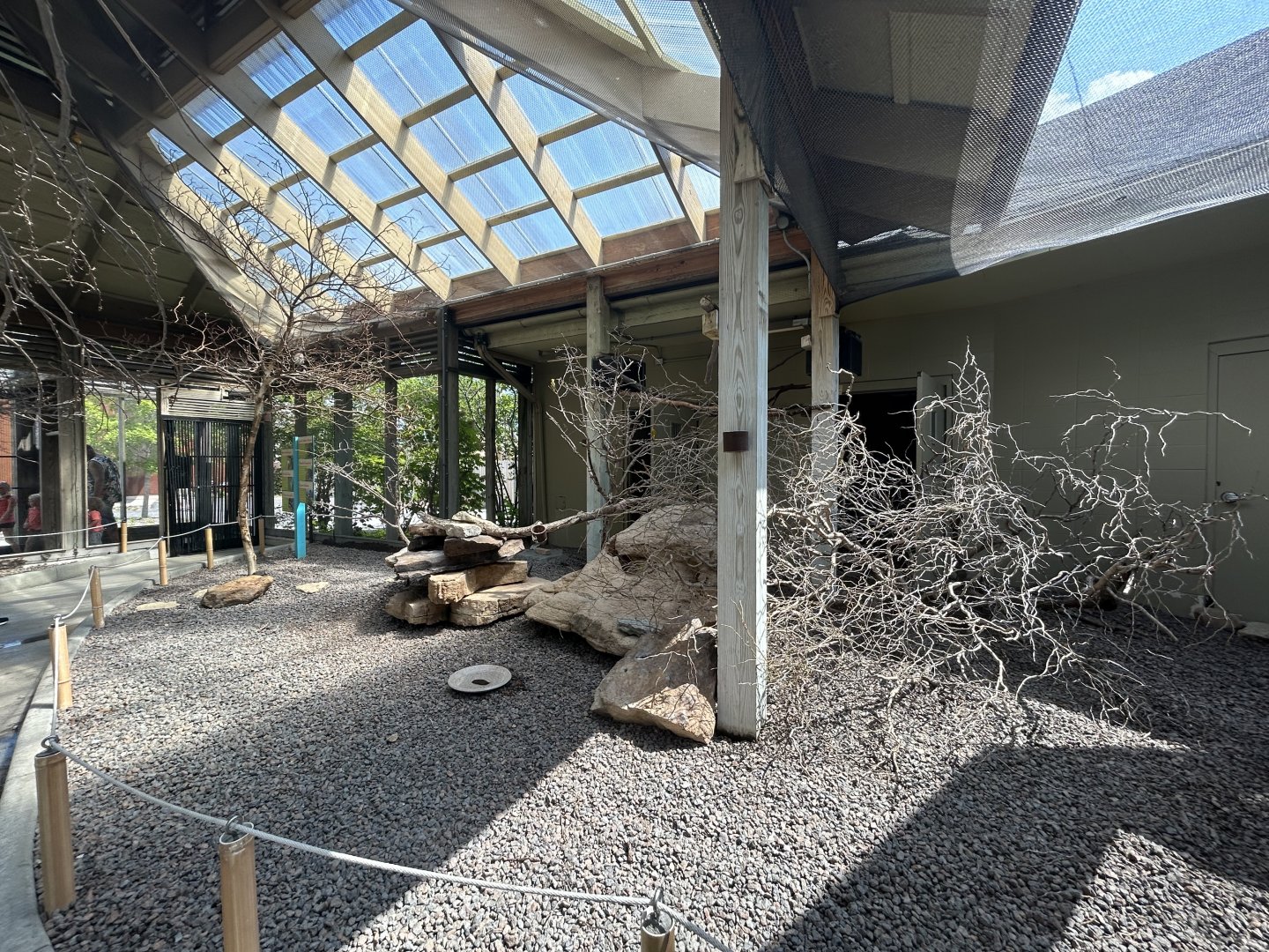 African Aviary (7 Species) - Flights of Fancy