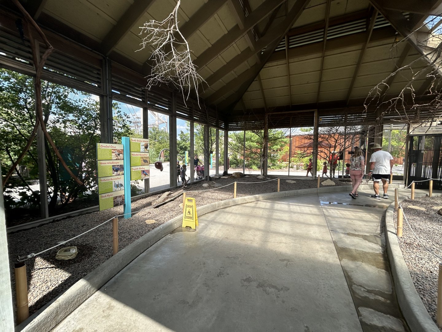 African Aviary (7 Species) - Flights of Fancy