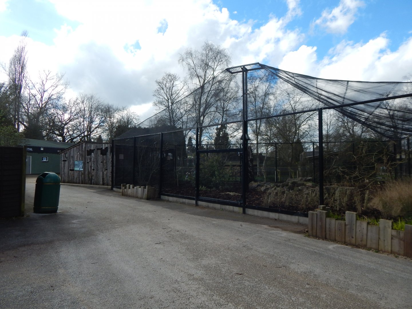 African Aviary - Amethyst starling/Bruce's green pigeon 040324