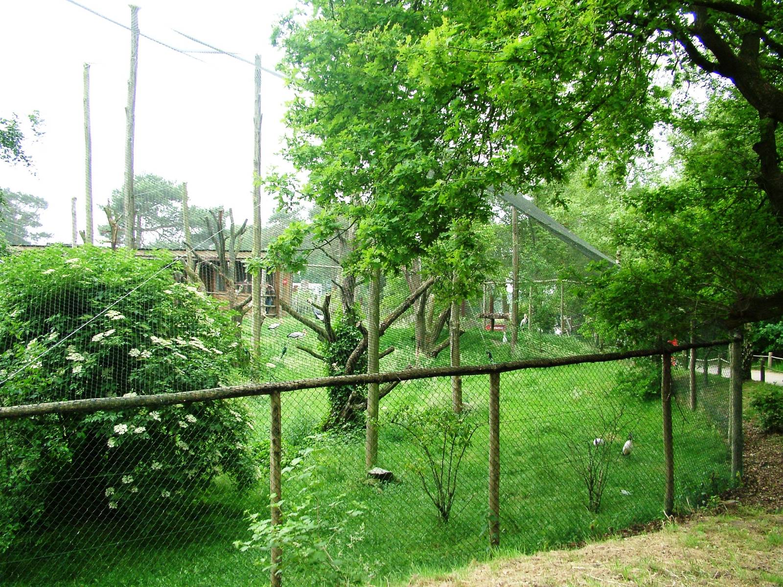 African Aviary at Beekse Bergen, 31/05/12