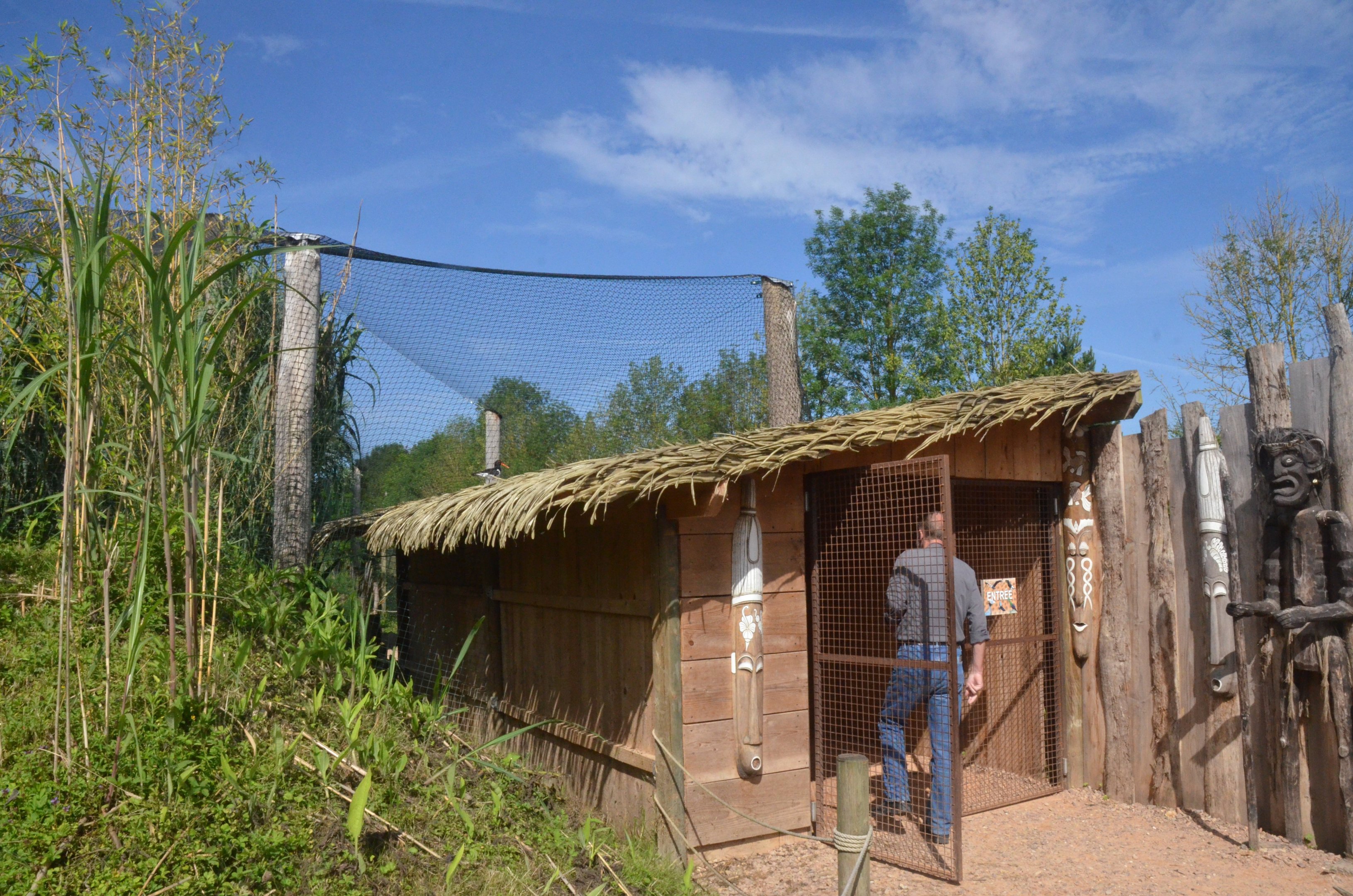 African Aviary at Biotropica, 16/06/18