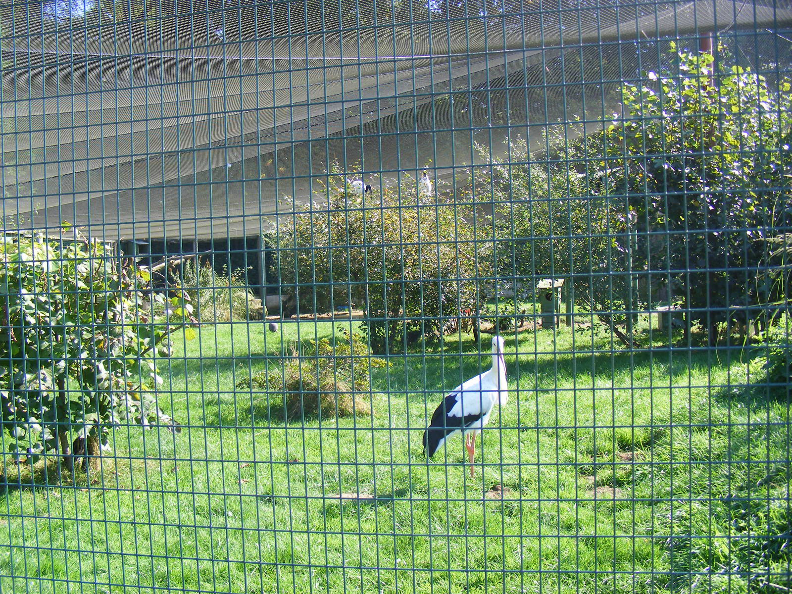 African aviary at Paultons Park, 2 October 2011