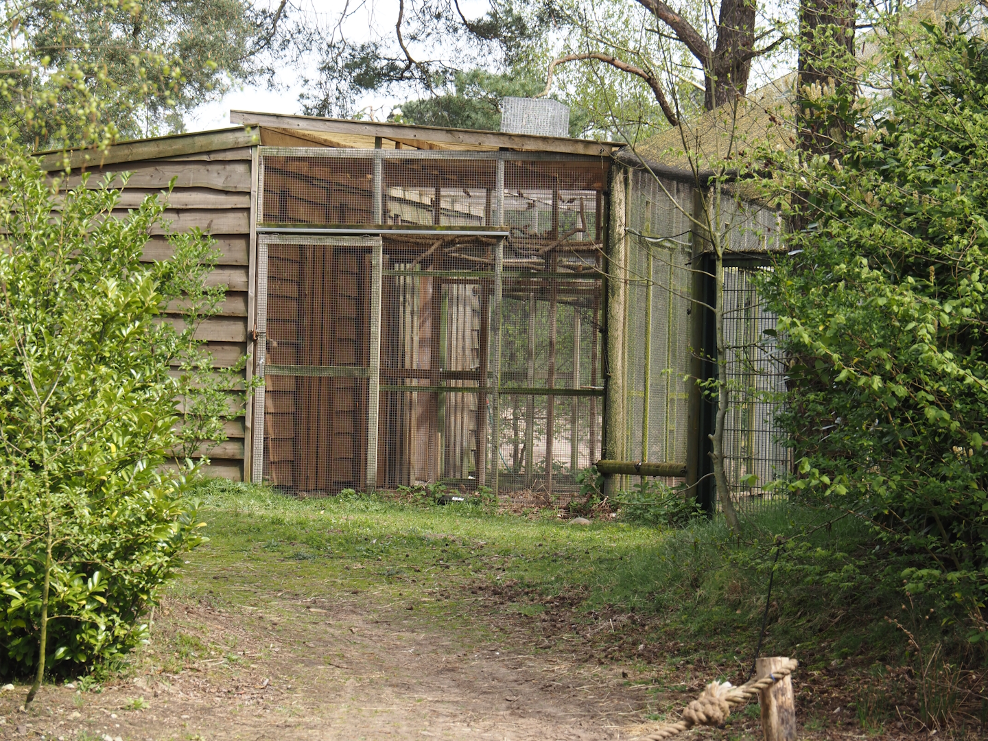 African aviary bird house and separation aviaries, 2024-04-06