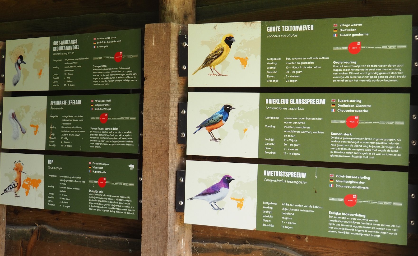 African aviary bird signage, 2023-08-15
