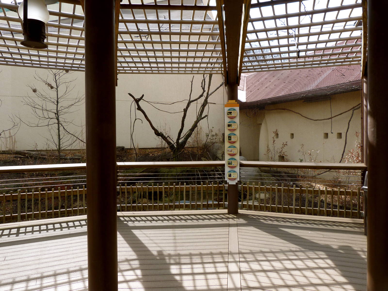 African Aviary - Elephant Crossing
