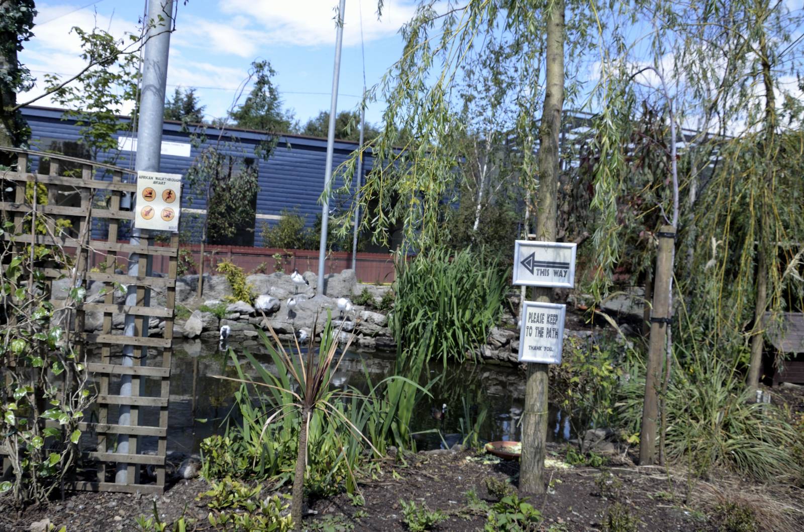 African Aviary Entrance Inside-06/07/2014