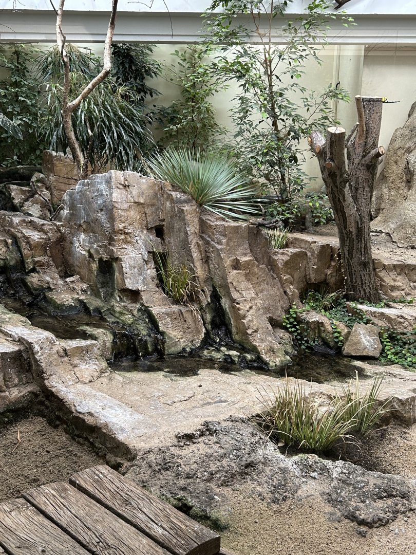 African aviary in the Bird House