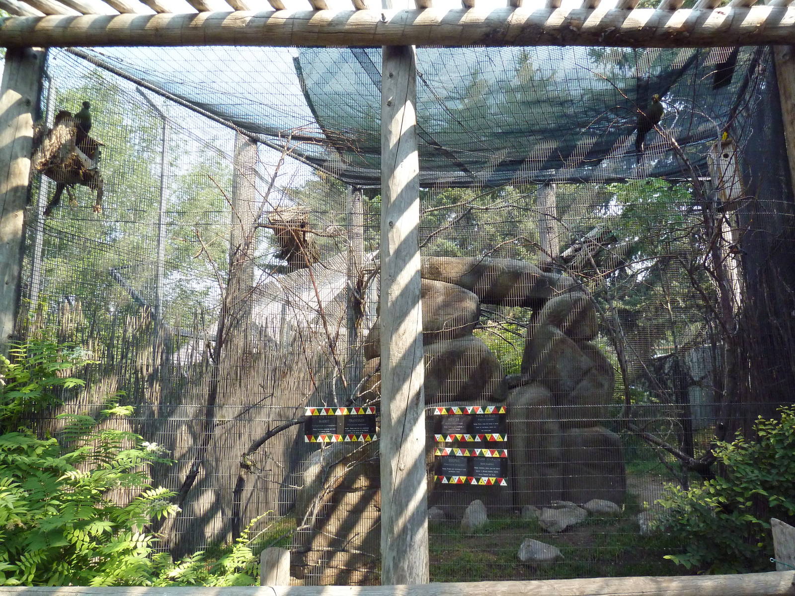 African Aviary (including rock hyrax)