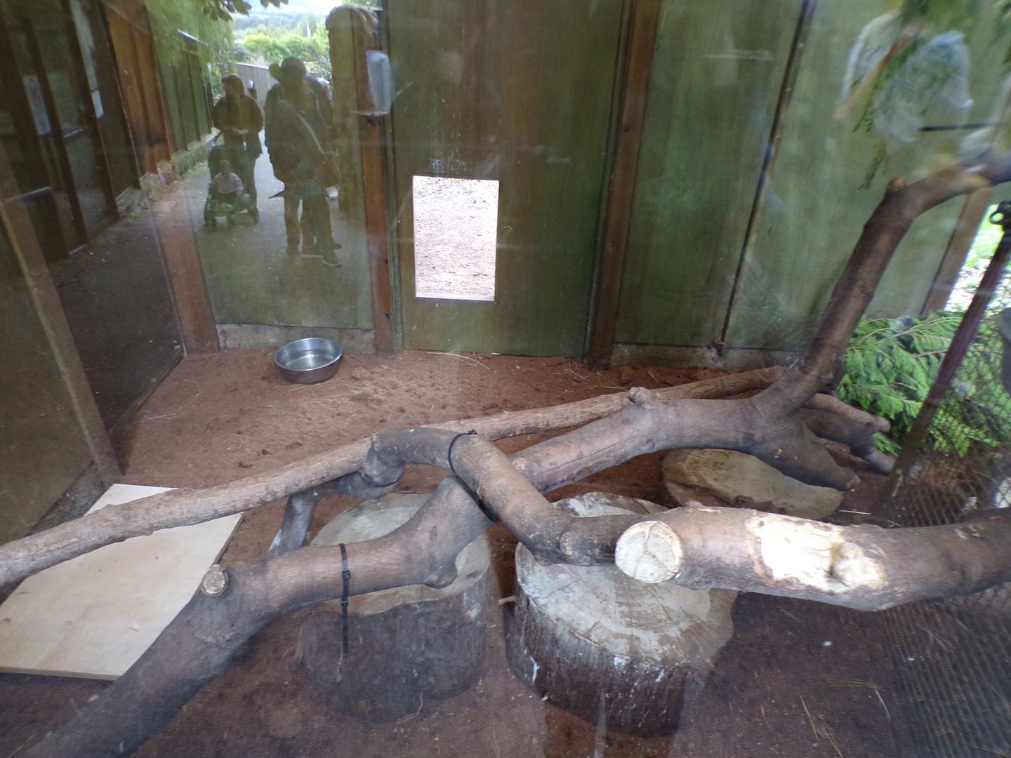 African aviary indoors (2)