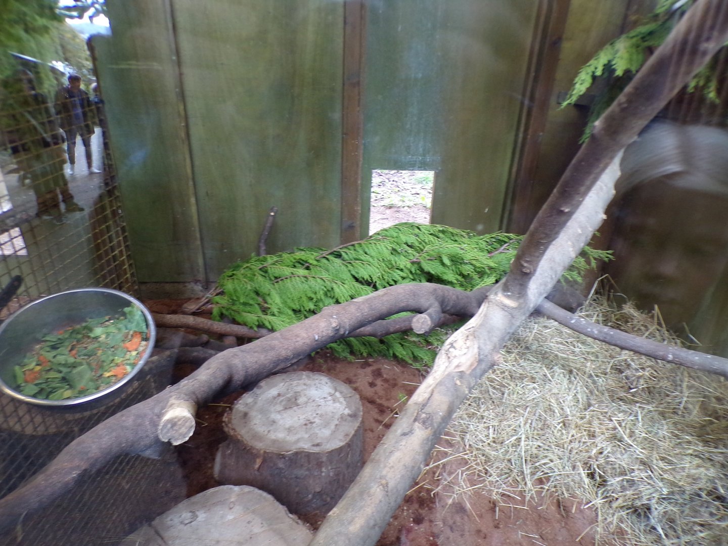 African aviary indoors