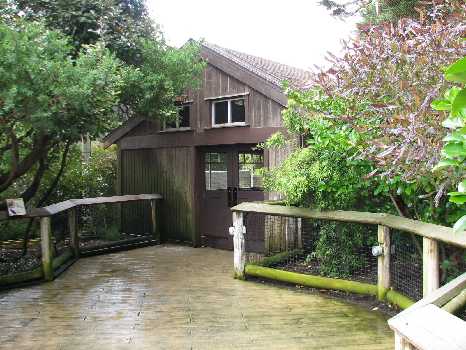 African Aviary - Interior