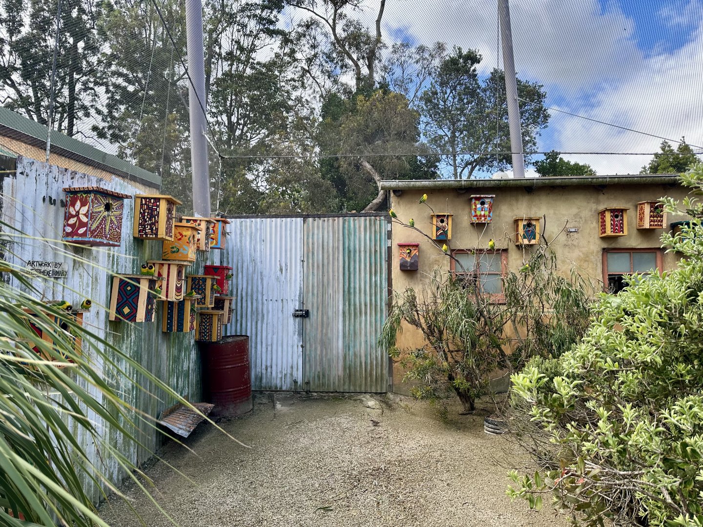 African Aviary - Lovebird Nests