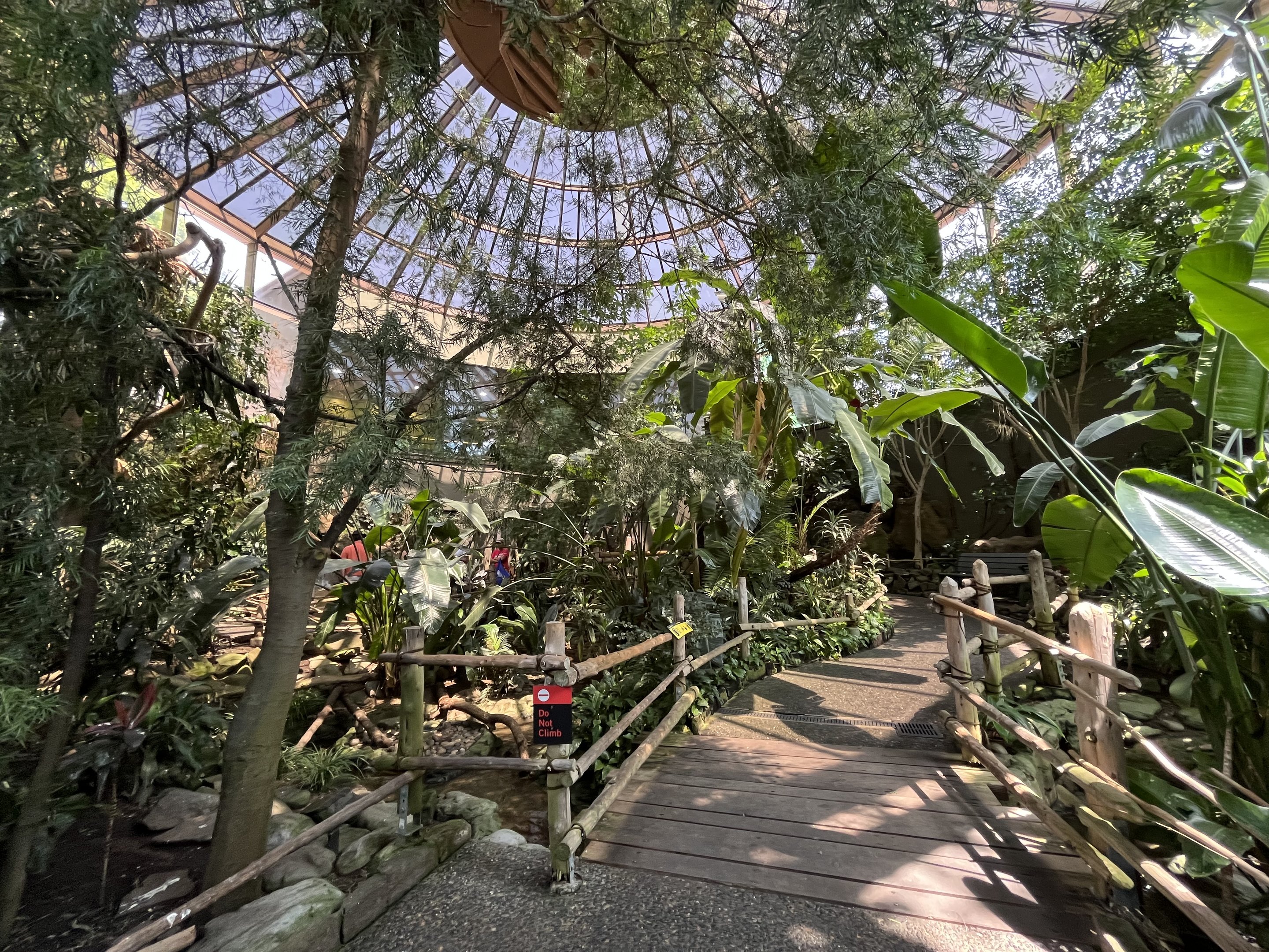 African Aviary - lower level