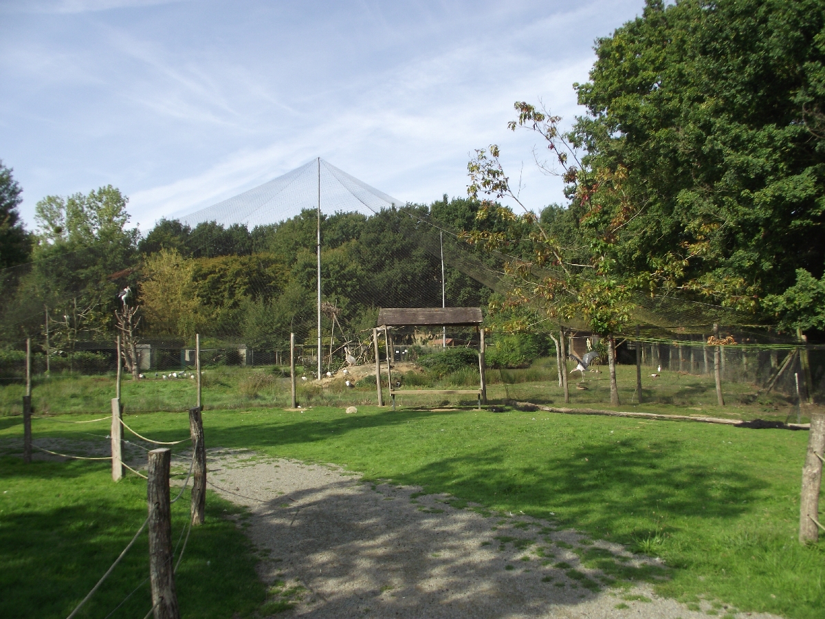 African Aviary seen from Mini Farm