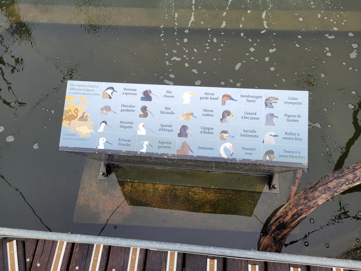 African aviary sign -Parc Zoologique de Paris (2022)