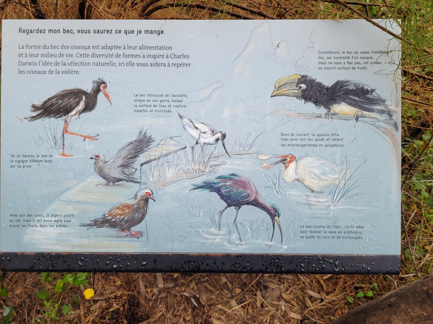 African aviary sign -Parc Zoologique de Paris (2022)