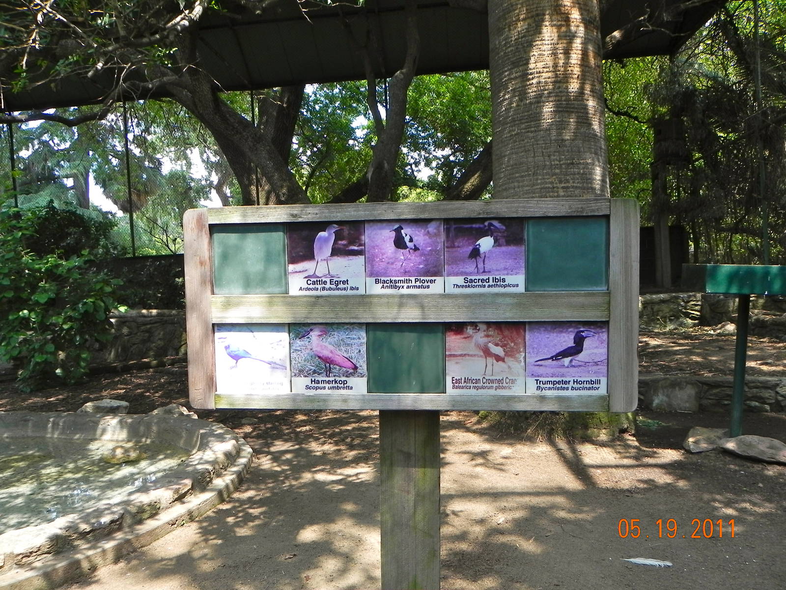 African Aviary sign