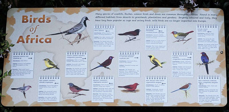 African aviary sign