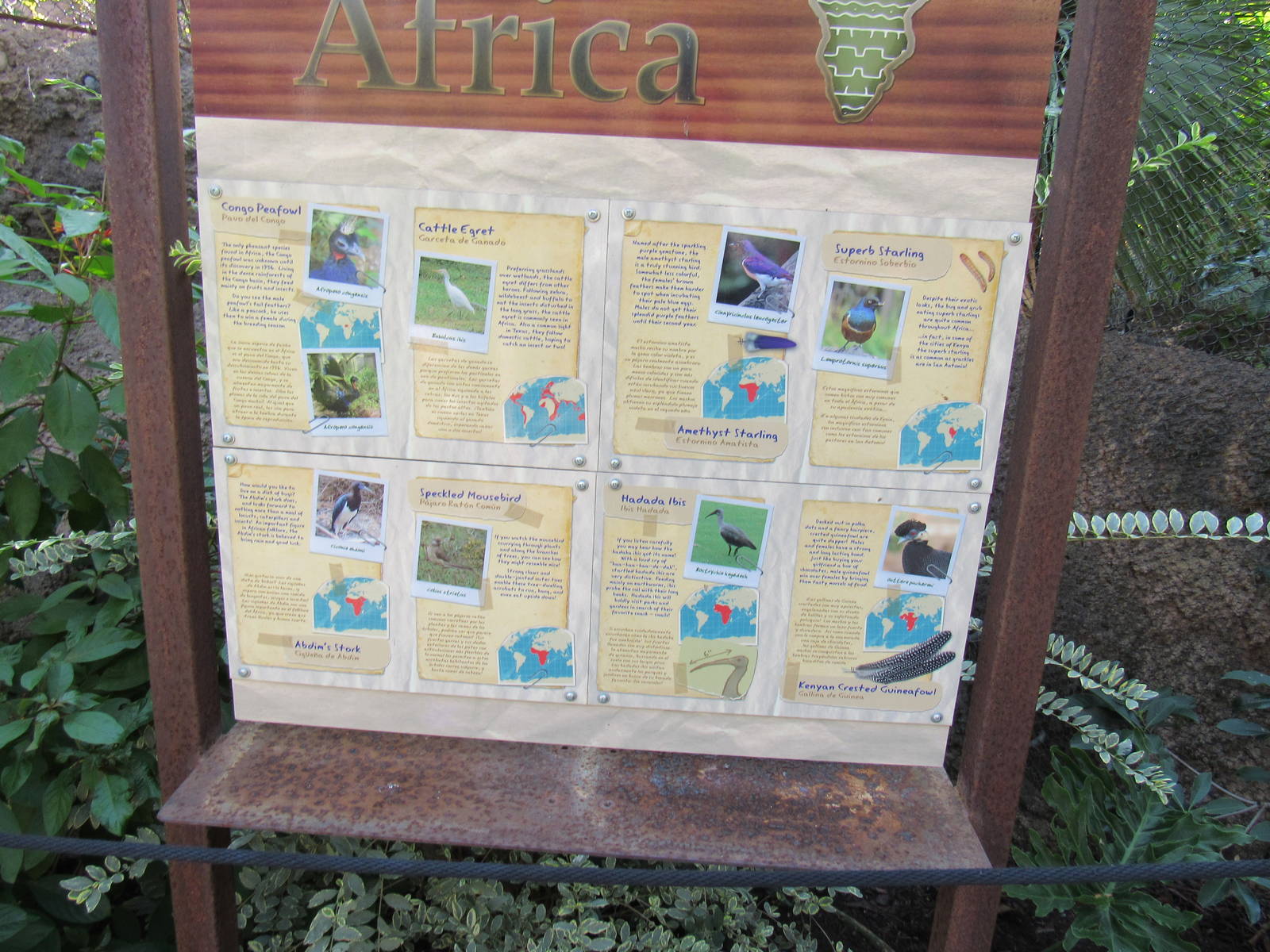 African Aviary Signage Example and Species List