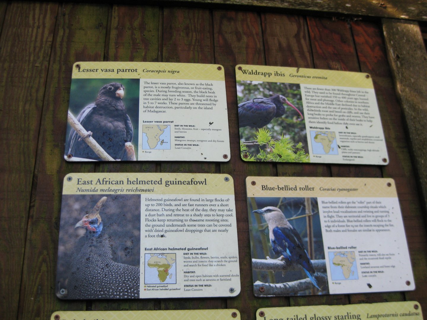 African Aviary Signage