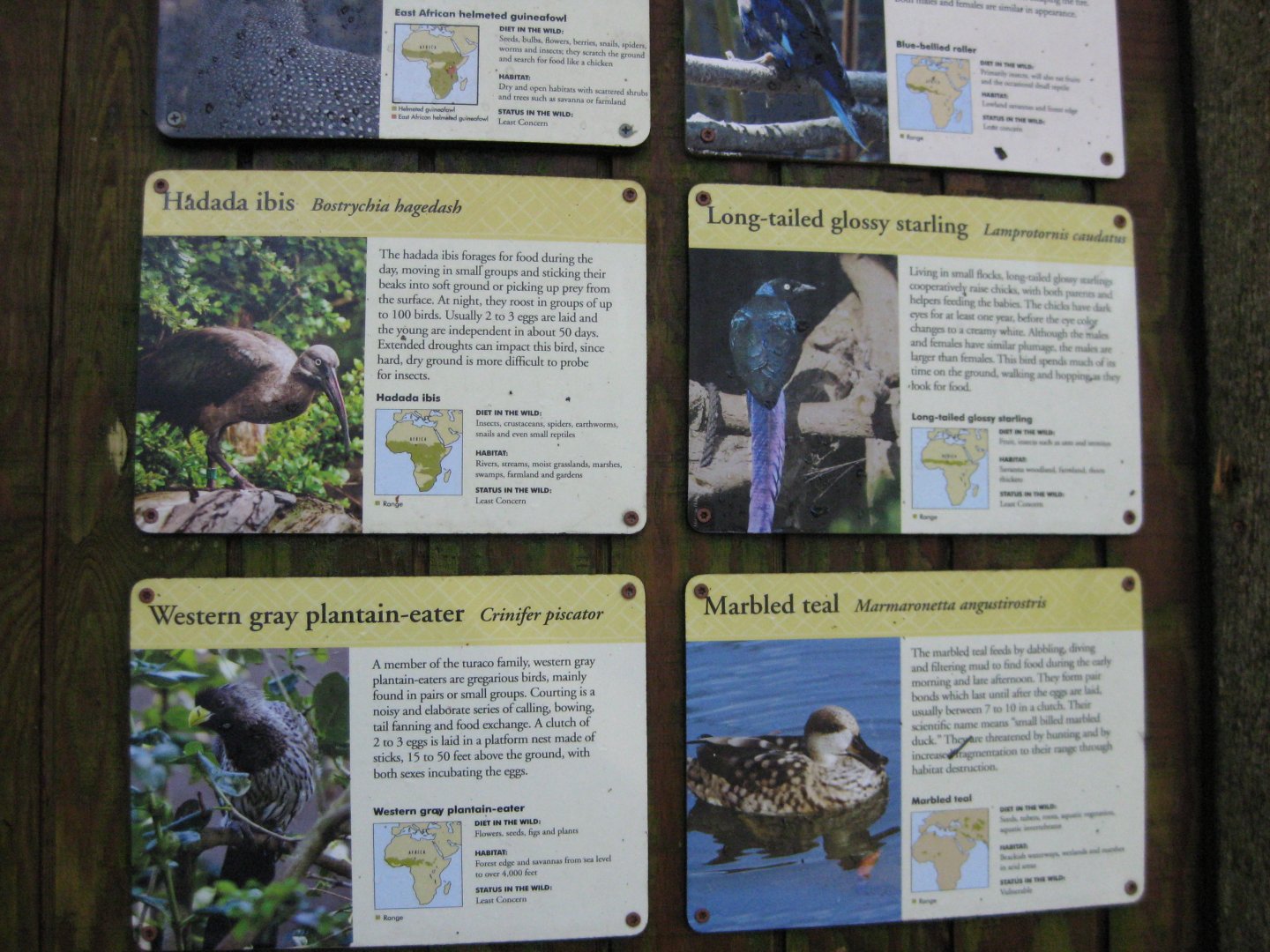 African Aviary Signage