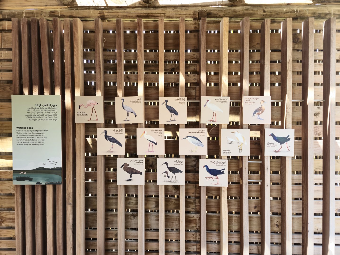 African Aviary signage
