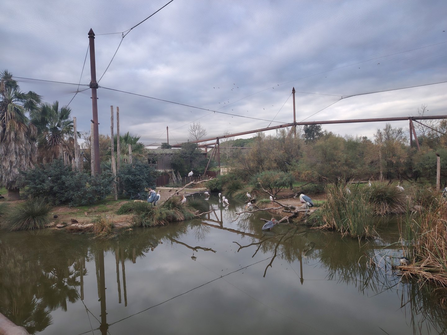 African Aviary (specie list in comment)