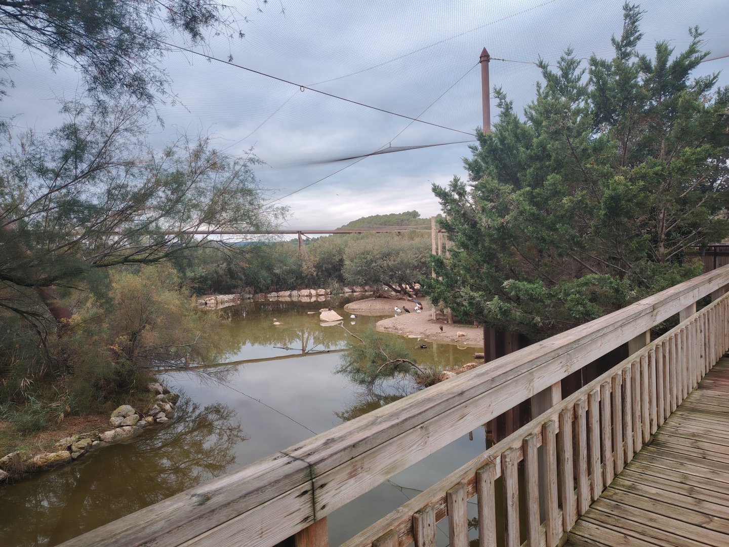 African Aviary (specie list in comment)